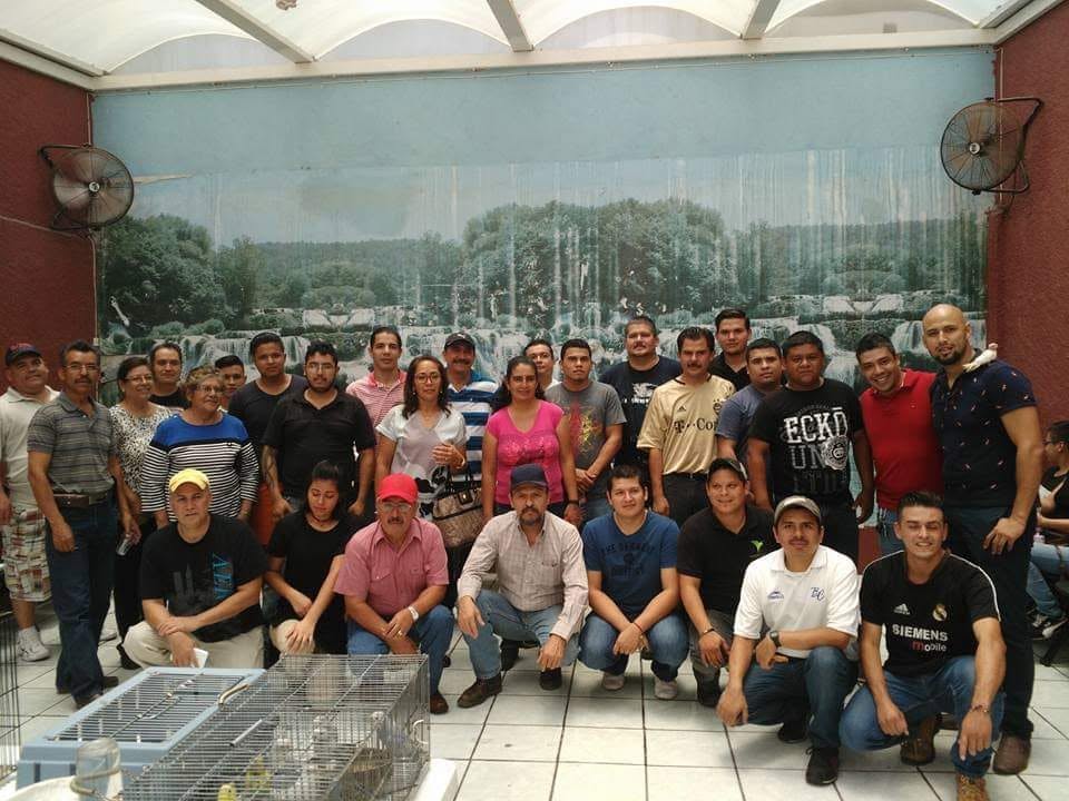 Primer concurso PeriquitosMex