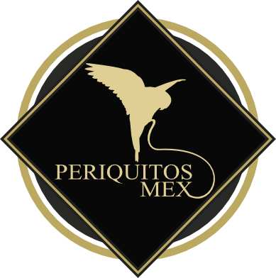 Logo PeriquitosMex